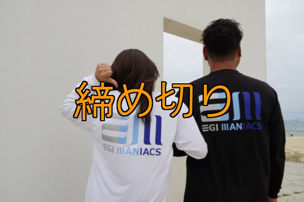 画像6: 受注生産  EGI MANIACS 『グラデーション』綿・シルキードライロンT (6)