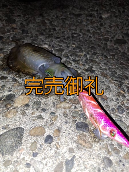 画像4: WILD CHASE 3.0号RTラトル モンスターオレンジ[特注:EGI MANIACS] (4)