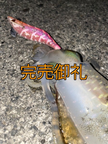 画像5: WILD CHASE 3.0号RTラトル モンスターピンク[特注:EGI MANIACS] (5)