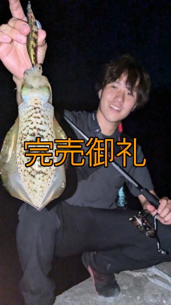 画像6: WILDCHASE 3.0号RTラトル /俺のGOLDパイソン/[特注:EGI MANIACS] (6)