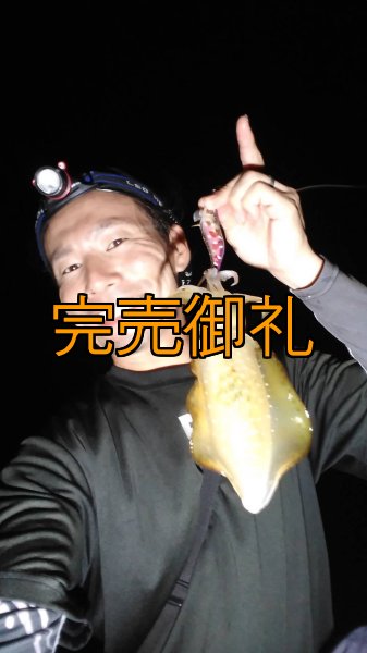 画像5: WILDCHASE 3.0号RTラトル/ 斑紫龍[特注:EGI MANIACS] (5)