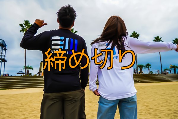 画像1: 受注生産  EGI MANIACS 『グラデーション』綿・シルキードライロンT (1)