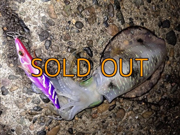 画像8: WILD CHASE 3.5号/モンスターパープル [特注:EGI MANIACS] (8)