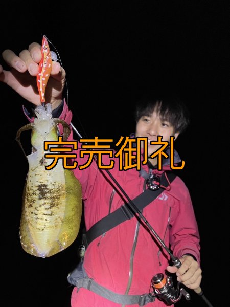 画像3: WILDCHASE 3.0号RTラトル / 斑赤龍/RED GLOW搭載[特注:EGI MANIACS] (3)