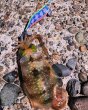画像7: WILDCHASE 3.0号RTラトル /セナキスパイソン/UV[特注:EGI MANIACS] (7)