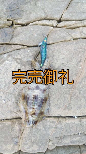 画像6: WILDCHASE 3.0号RTラトル/ブルーパイソン/スポットGLOW[特注:EGI MANIACS] (6)