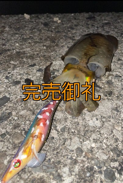 画像7: WILDCHASE 3.0号RTラトル/ 斑紫龍[特注:EGI MANIACS] (7)