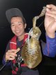 画像3: WILDCHASE 3.0号RTラトル /俺のGOLDパイソン/[特注:EGI MANIACS] (3)
