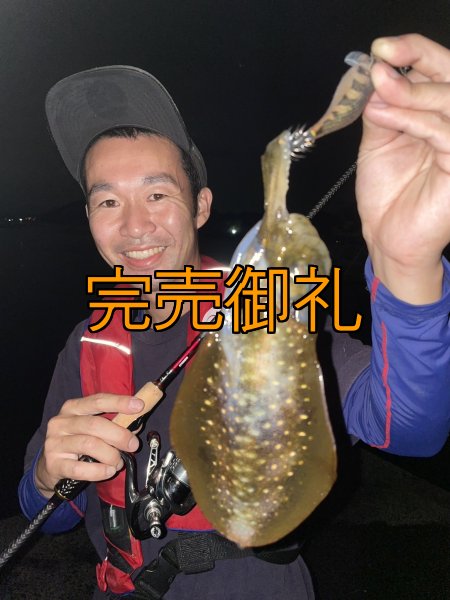 画像3: WILDCHASE 3.0号RTラトル /俺のGOLDパイソン/[特注:EGI MANIACS] (3)