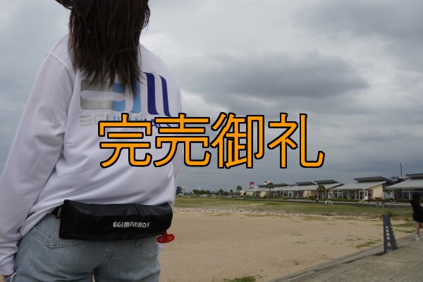 画像5: EGI MANIACS 腰巻タイプモーゲットウエスト 国土交通省型式承認品【別注ブルーストーム】 (5)