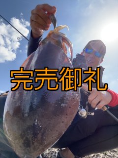 WILDCHASE 3.0号RTラトル / 斑赤龍/RED GLOW搭載[特注:EGI