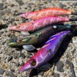 画像9: WILD CHASE 3.5号/モンスターパープル [特注:EGI MANIACS] (9)