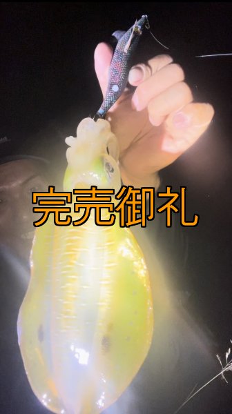 画像3: WILD CHASE 3.0号RTラトル モンスターブラック[特注:EGI MANIACS] (3)