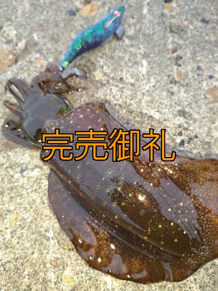 画像8: WILDCHASE 3.0号RTラトル/ブルーパイソン/スポットGLOW[特注:EGI MANIACS] (8)