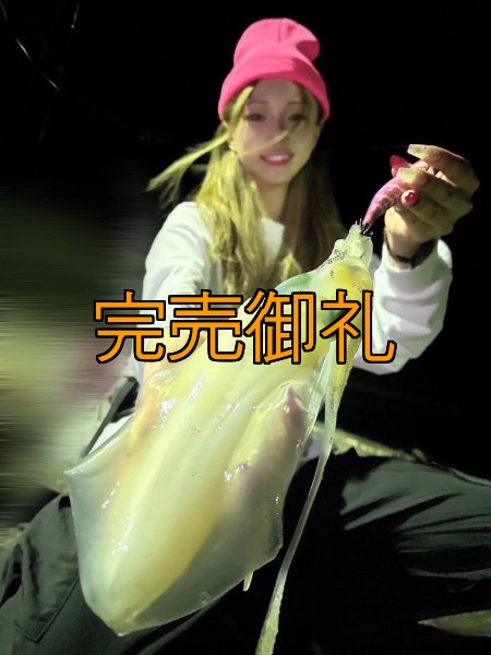 画像2: WILD CHASE 3.0号RTラトル モンスターピンク[特注:EGI MANIACS] (2)