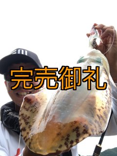 87WORKS - 大阪エギングショップ EGI MANIACS