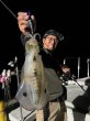 画像1: WILD CHASE/B-TR 3.5号 30ｇ/ブルーパイソン[特注:EGI MANIACS] (1)