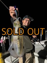 全商品 - EGI MANIACS