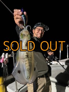 WILD CHASE/B-TR 3.5号 30g - 大阪エギングショップ EGI MANIACS