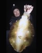 画像30: WILDCHASE 3.5号 /俺のGOLDパイソン/[特注:EGI MANIACS] (30)