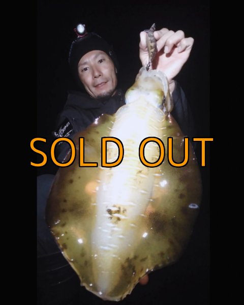 画像30: WILDCHASE 3.5号 /俺のGOLDパイソン/[特注:EGI MANIACS] (30)