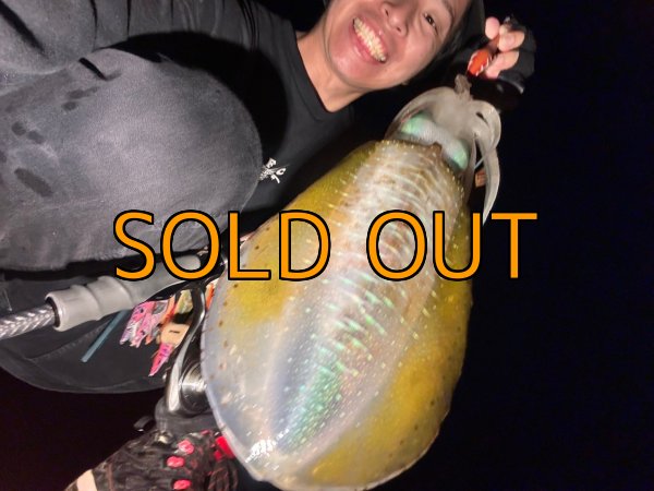 画像5: WILDCHASE 3.5号 / 斑赤龍/RED GLOW搭載[特注:EGI MANIACS] (5)