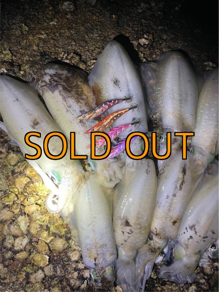 画像10: WILD CHASE 3.5号/モンスターパープル [特注:EGI MANIACS] (10)