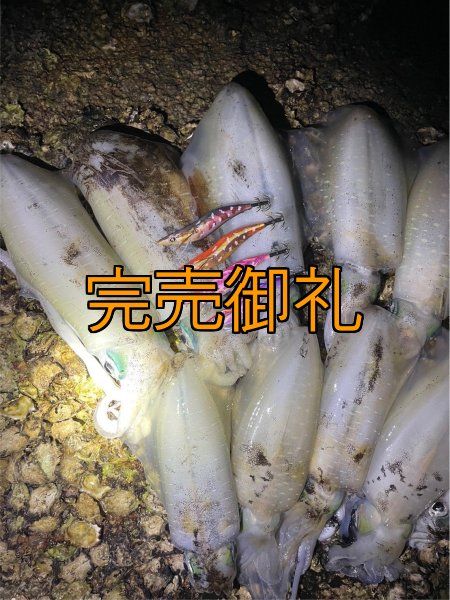 画像13: WILDCHASE 3.5号シャローtune/モンスターパープル [特注:EGI MANIACS] (13)