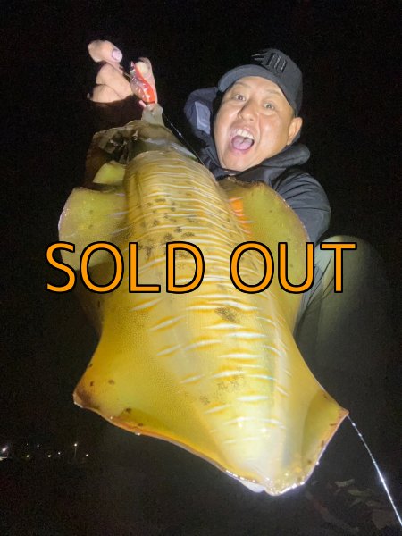 画像3: WILDCHASE 3.5号 / 斑赤龍/RED GLOW搭載[特注:EGI MANIACS] (3)