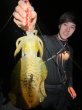 画像4: WILDCHASE 3.5号 / 斑赤龍/RED GLOW搭載[特注:EGI MANIACS] (4)