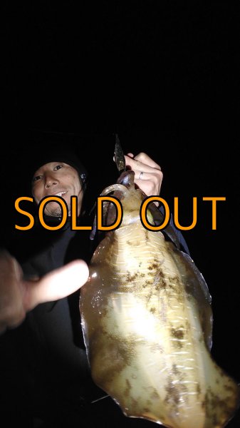 画像29: WILDCHASE 3.5号 /俺のGOLDパイソン/[特注:EGI MANIACS] (29)