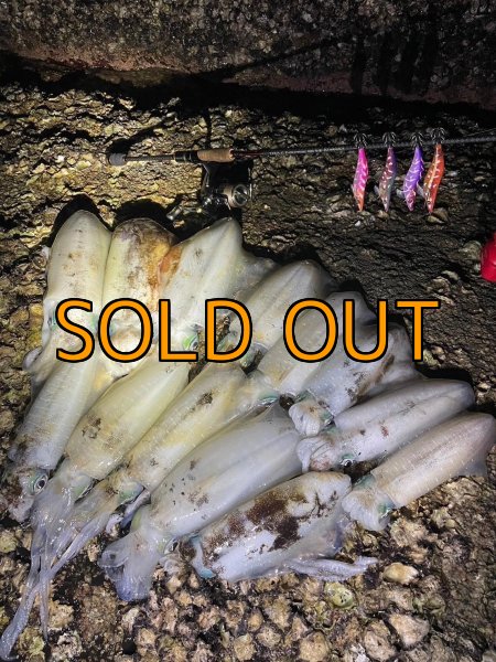 画像12: WILDCHASE 3.5号 / 斑赤龍/RED GLOW搭載[特注:EGI MANIACS] (12)