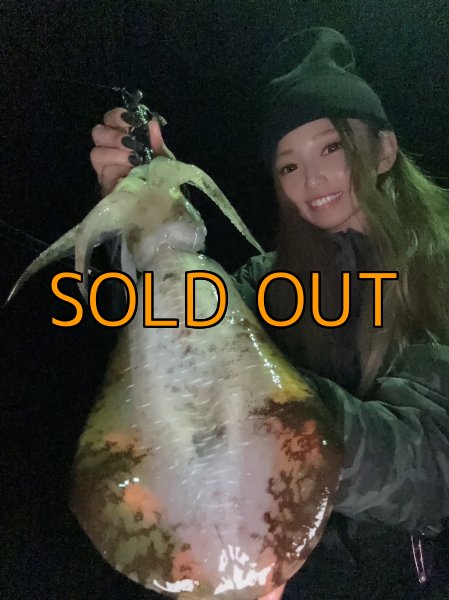 画像3: WILDCHASE 3.5号/ 斑黒龍/RED GLOW搭載[特注:EGI MANIACS] (3)