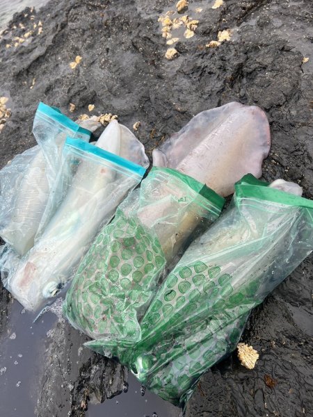 画像22: 第５回エギマニ ダービー in和歌山 ガチBATTLE！！ (22)