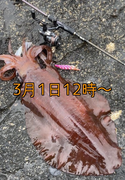 画像17: 第５回エギマニ ダービー in和歌山 ガチBATTLE！！ (17)