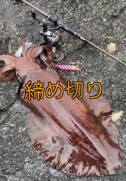 画像6: 第４回エギマニ ダービー in和歌山 ガチBATTLE！！ (6)