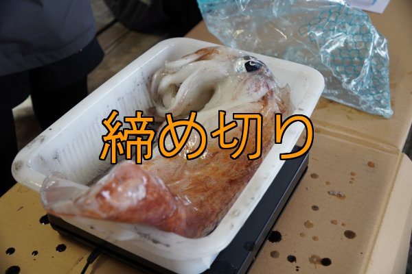 画像5: 第４回エギマニ ダービー in和歌山 ガチBATTLE！！ (5)