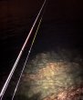 画像8: X8-PE 0.5-210m 【Vertical Eyes】SS×R×Y (8)