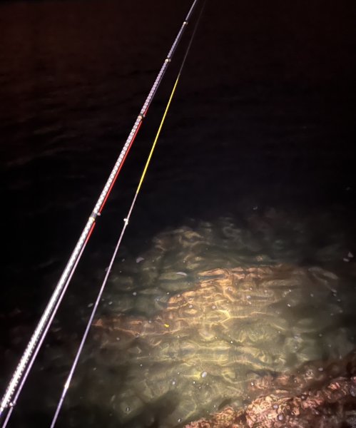 画像8: X8-PE 0.5-210m 【Vertical Eyes】SS×R×Y (8)