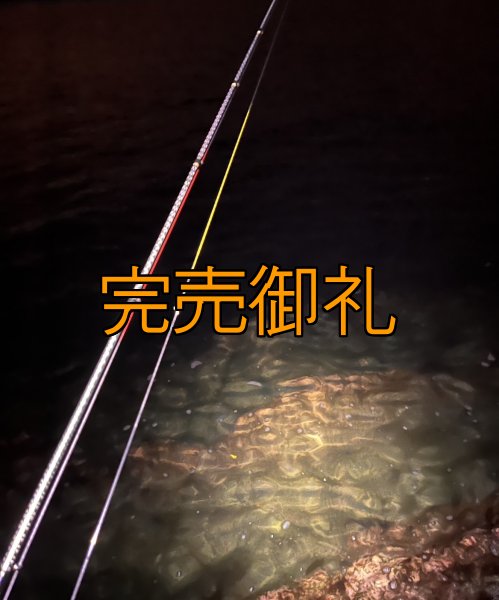 画像8: X8-PE 0.5-210m 【Vertical Eyes】SS×R×Y (8)