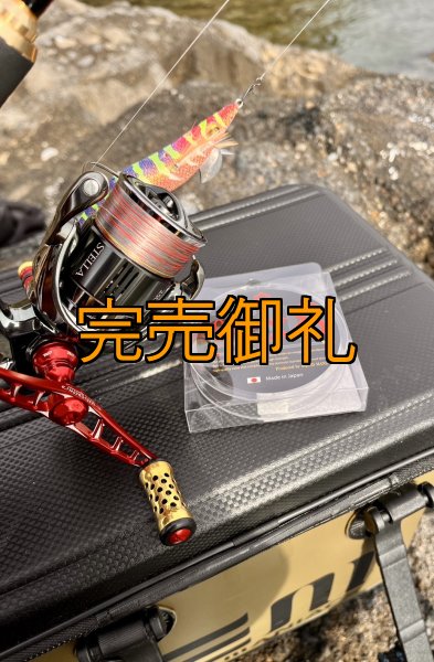画像2: X8-PE 0.5-210m 【Vertical Eyes】SS×R×Y (2)