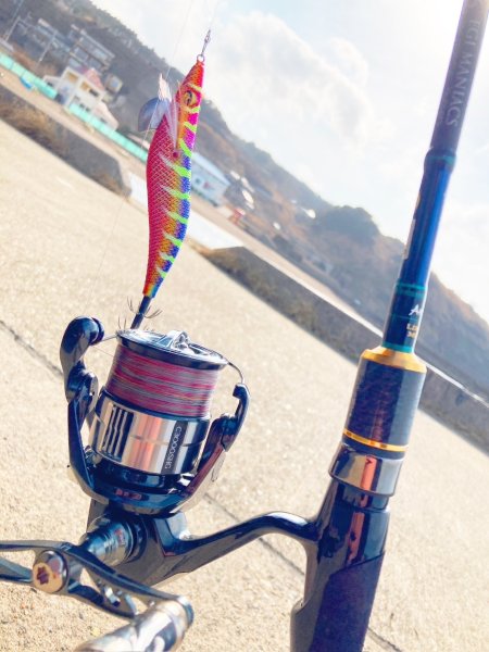 画像5: X8-PE 0.6-200m 【Vertical Eyes】SS×R×Y (5)