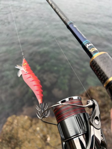 画像8: X8-PE 0.6-200m 【Vertical Eyes】SS×R×Y (8)