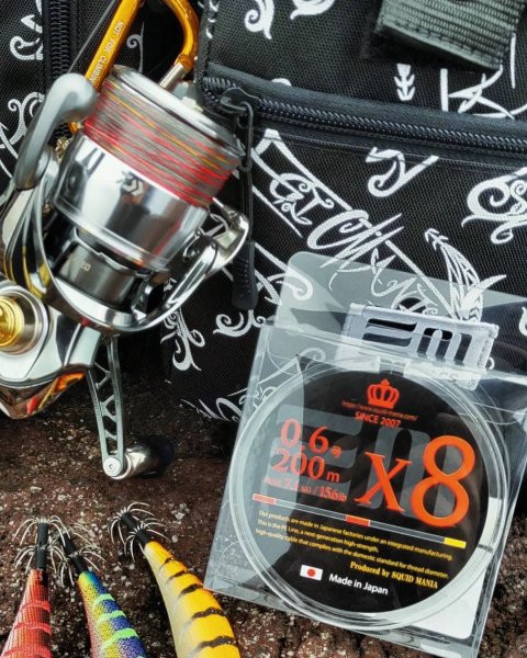 画像7: X8-PE 0.6-200m 【Vertical Eyes】SS×R×Y (7)