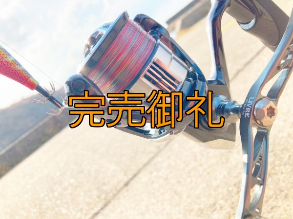 画像7: X8-PE 0.5-210m 【Vertical Eyes】SS×R×Y (7)