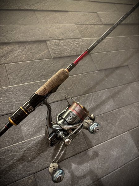 画像4: X8-PE 0.6-200m 【Vertical Eyes】SS×R×Y (4)