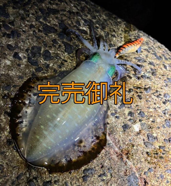 画像12: WILDCHASE 3.5号シャローtune /雷虎 らいと[監修:山口 譲二] (12)