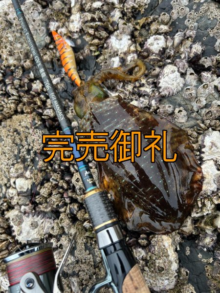 画像14: WILDCHASE 3.5号シャローtune /雷虎 らいと[監修:山口 譲二] (14)