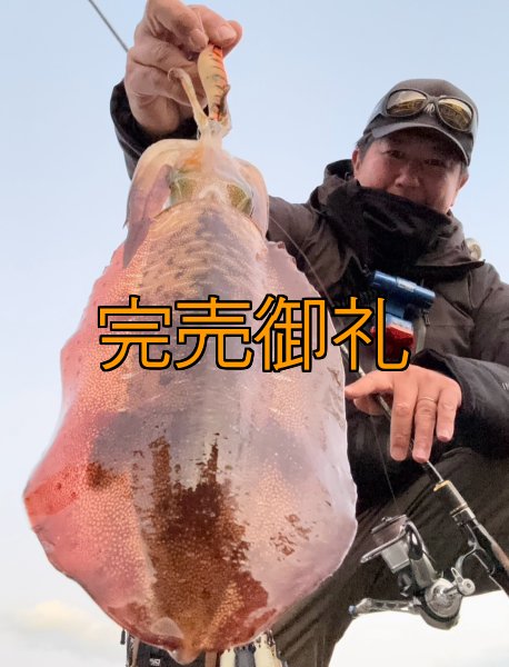 画像7: WILDCHASE 3.5号シャローtune /雷虎 らいと[監修:山口 譲二] (7)