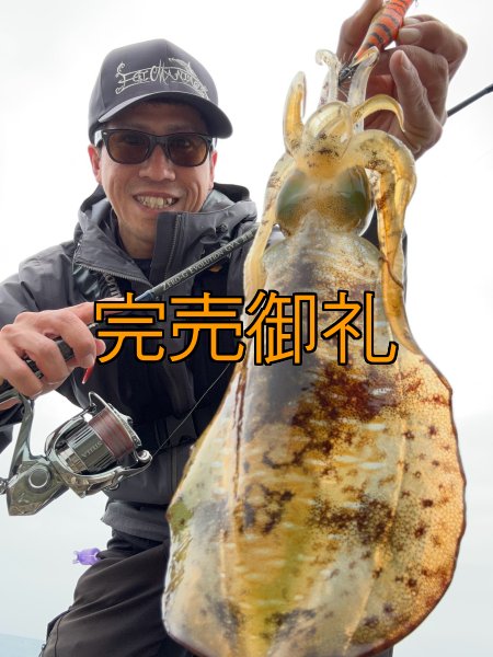 画像4: WILDCHASE 3.5号シャローtune /雷虎 らいと[監修:山口 譲二] (4)